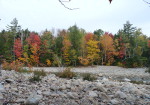 Campsite View