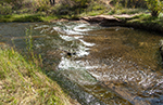 Calf Creek