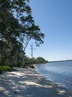 Hike Along Beach